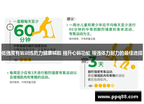低强度有氧训练助力健康减脂 提升心肺功能 增强体力耐力的最佳选择