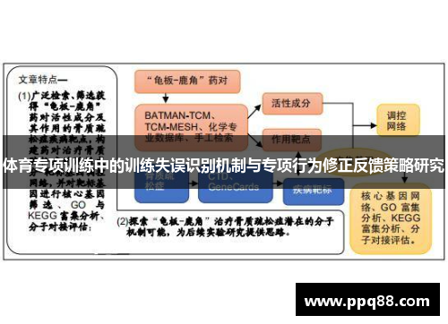 体育专项训练中的训练失误识别机制与专项行为修正反馈策略研究